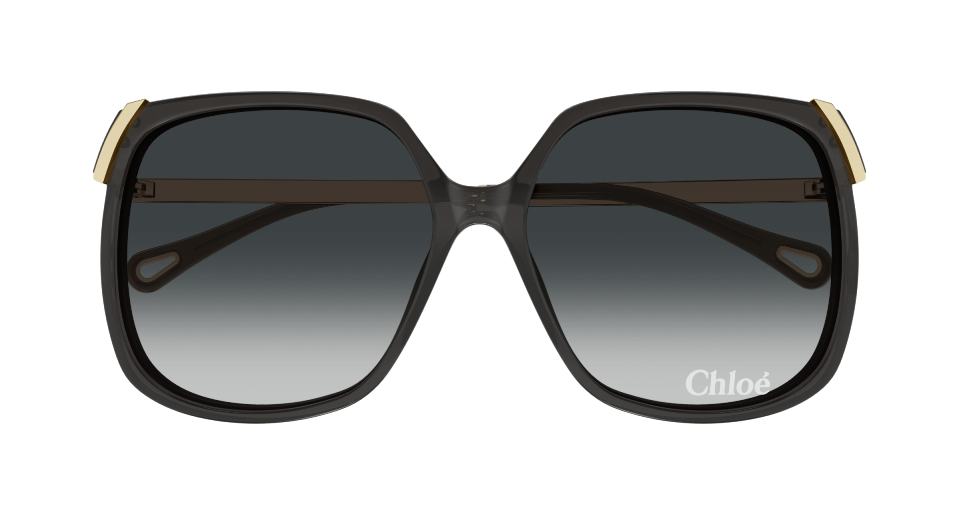 Occhiali da sole Chloé CH0286S 001 8056376565553 | Ottica Lux