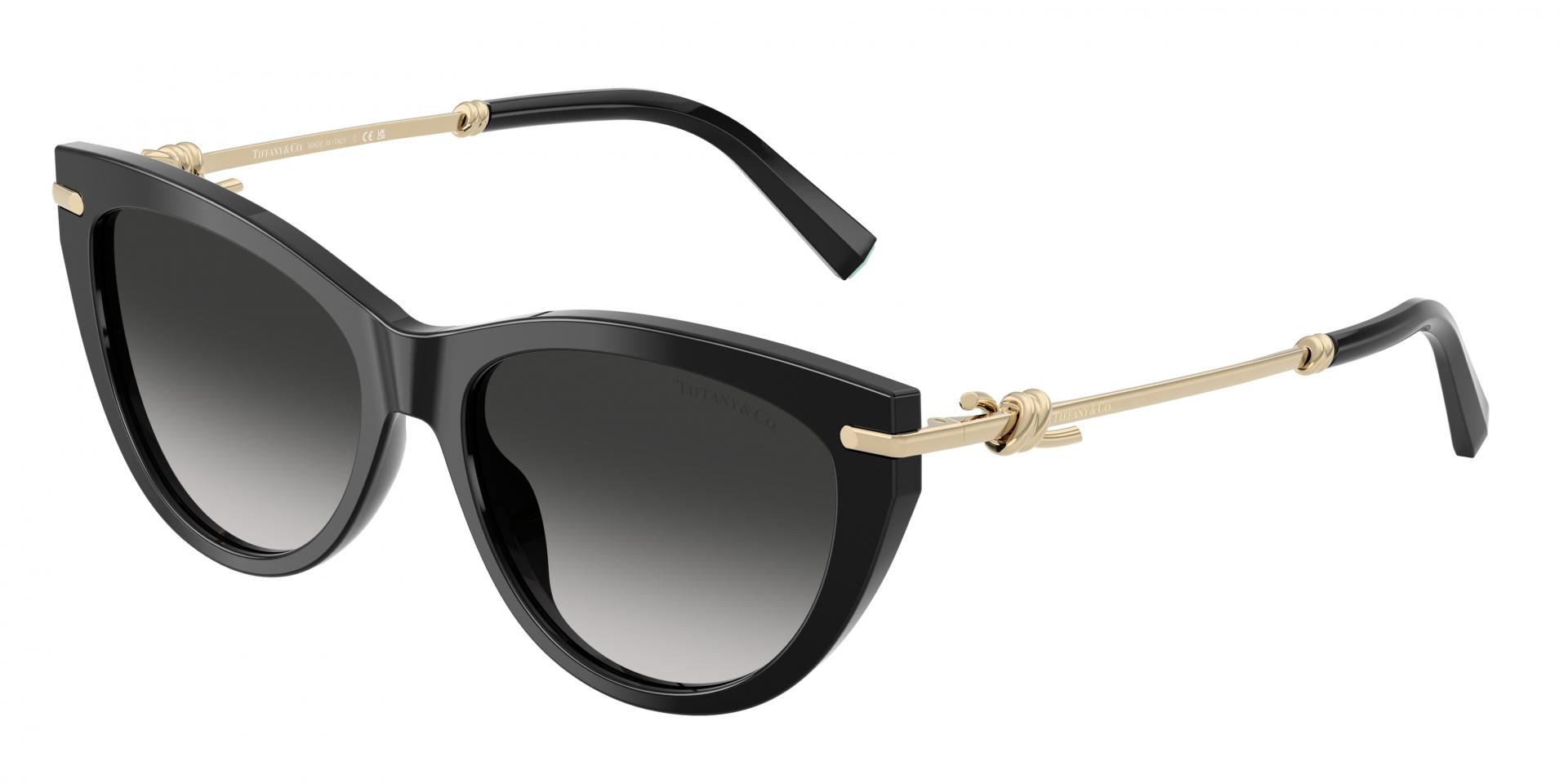 Sunglasses Versace VE2231 100287 8056597384704 | Ottica Lux