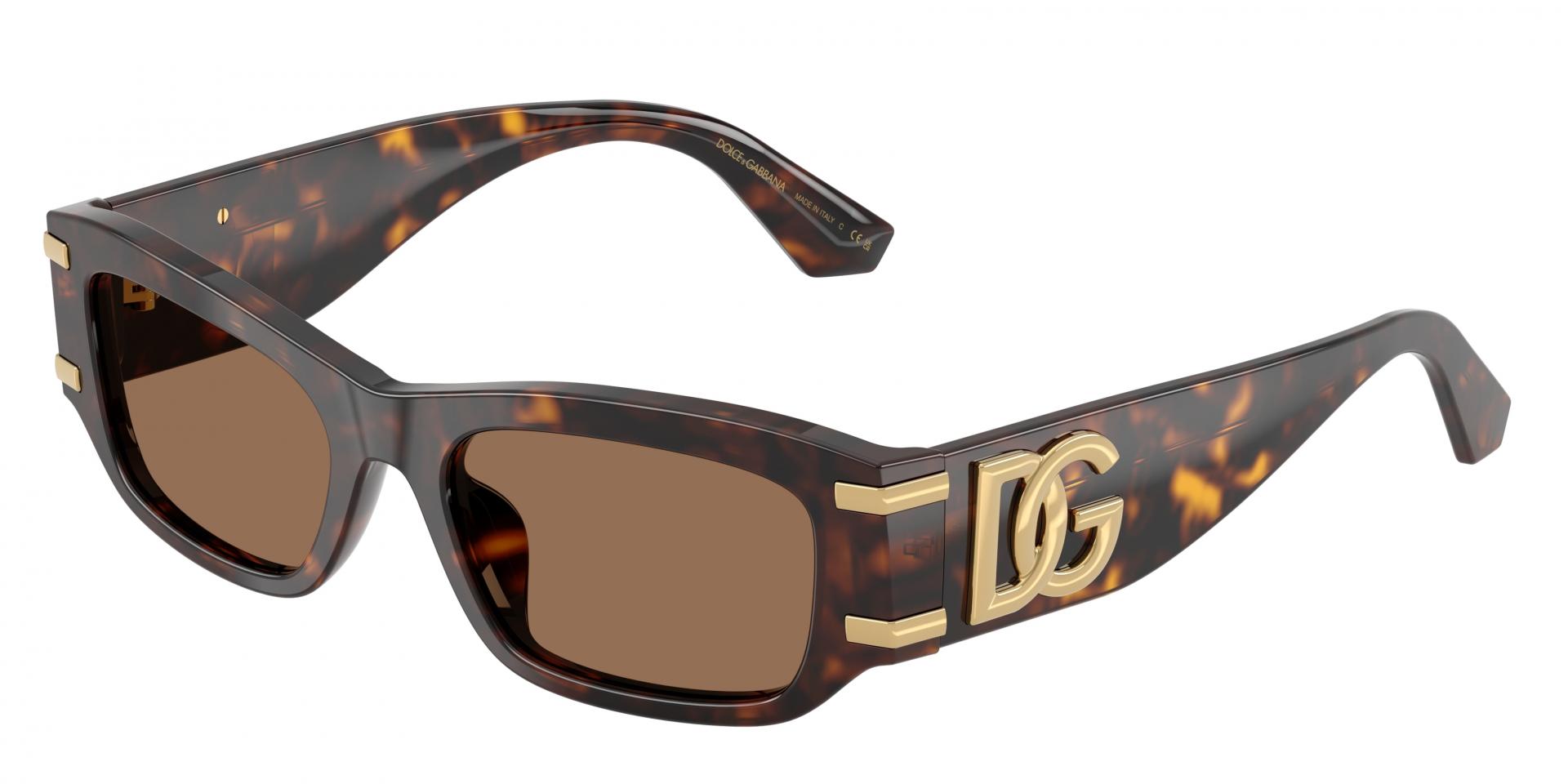 Sunglasses Dolce & Gabbana DG4564 501/87 8056266005787 | Ottica Lux
