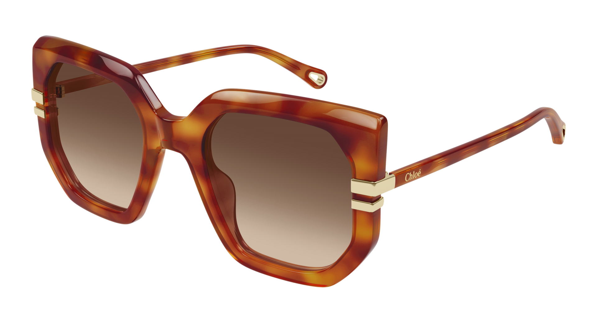 Occhiali da sole Chloé CH0240S 007 8056376616842 | Ottica Lux