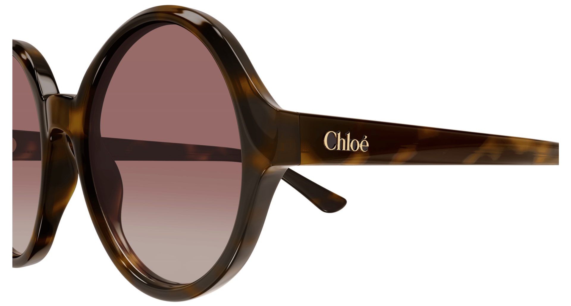 Sunglasses Chloé CH0290S 003 8056376561104 | Ottica Lux