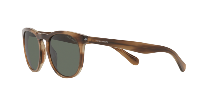 Occhiali da sole Giorgio Armani AR8149 590058 8056597543002 | Ottica Lux