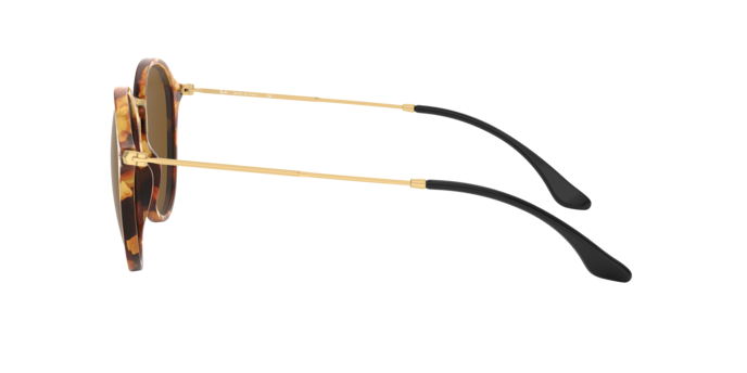 Occhiali da sole Ray-Ban RB2447 ROUND 1160 8053672358650 | Ottica Lux