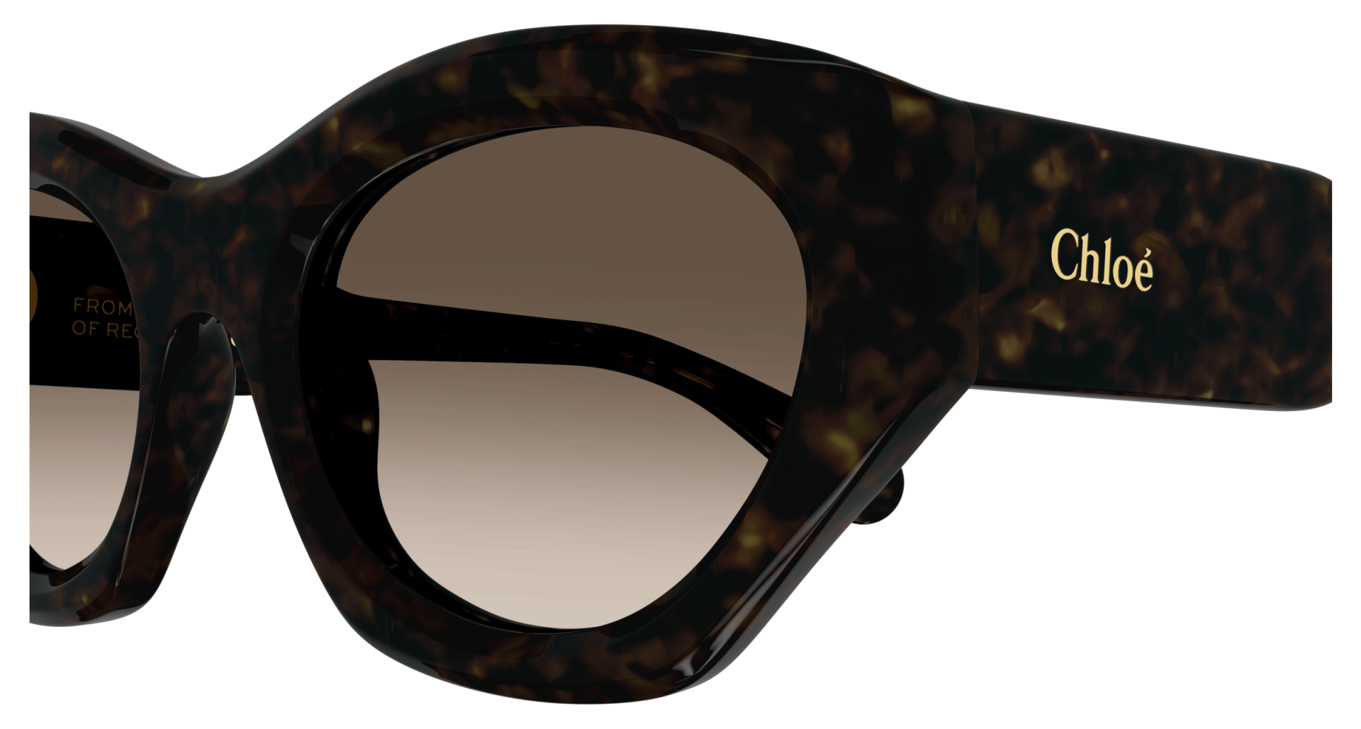 Occhiali da sole Chloé CH0220S 002 8056376501056 | Ottica Lux