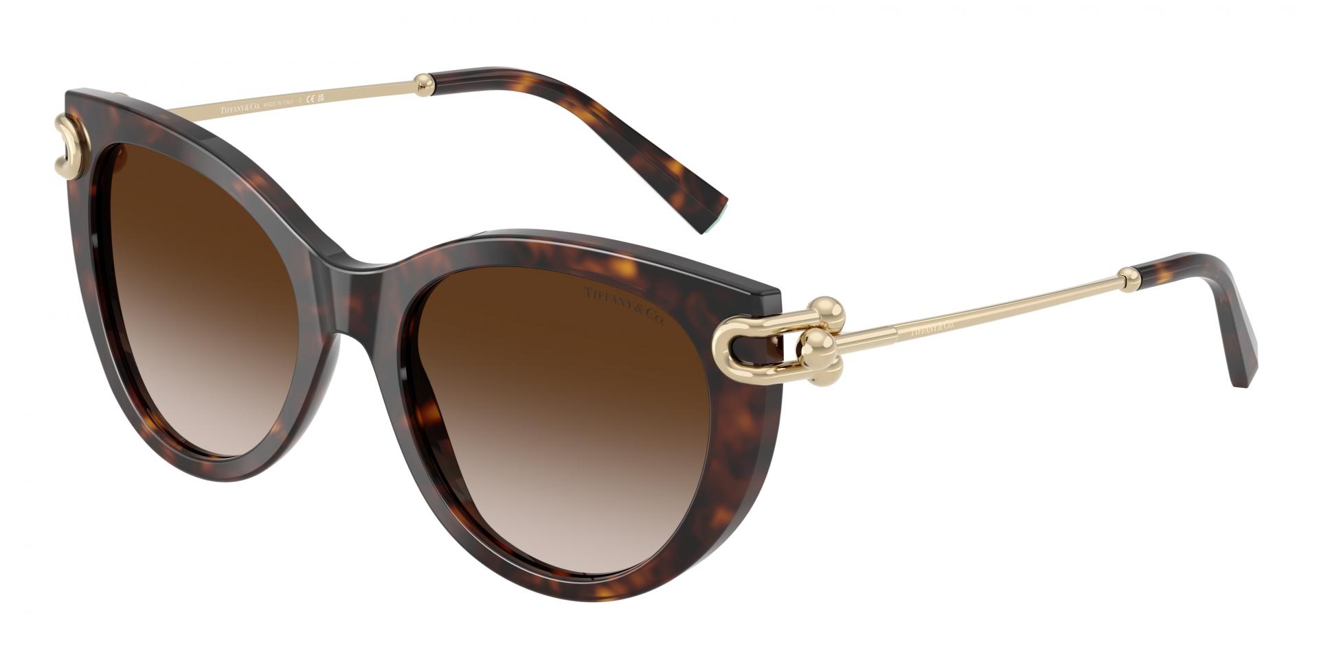 Sunglasses Chloé CH0231S 001 8056376502824 | Ottica Lux