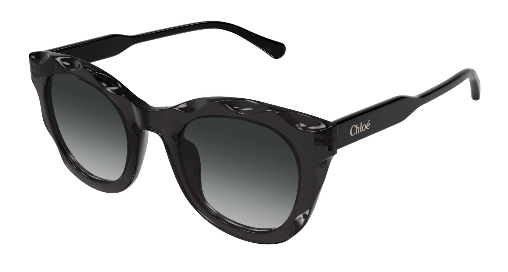 Sunglasses Chloé CH0295S 001 8056376561364 | Ottica Lux