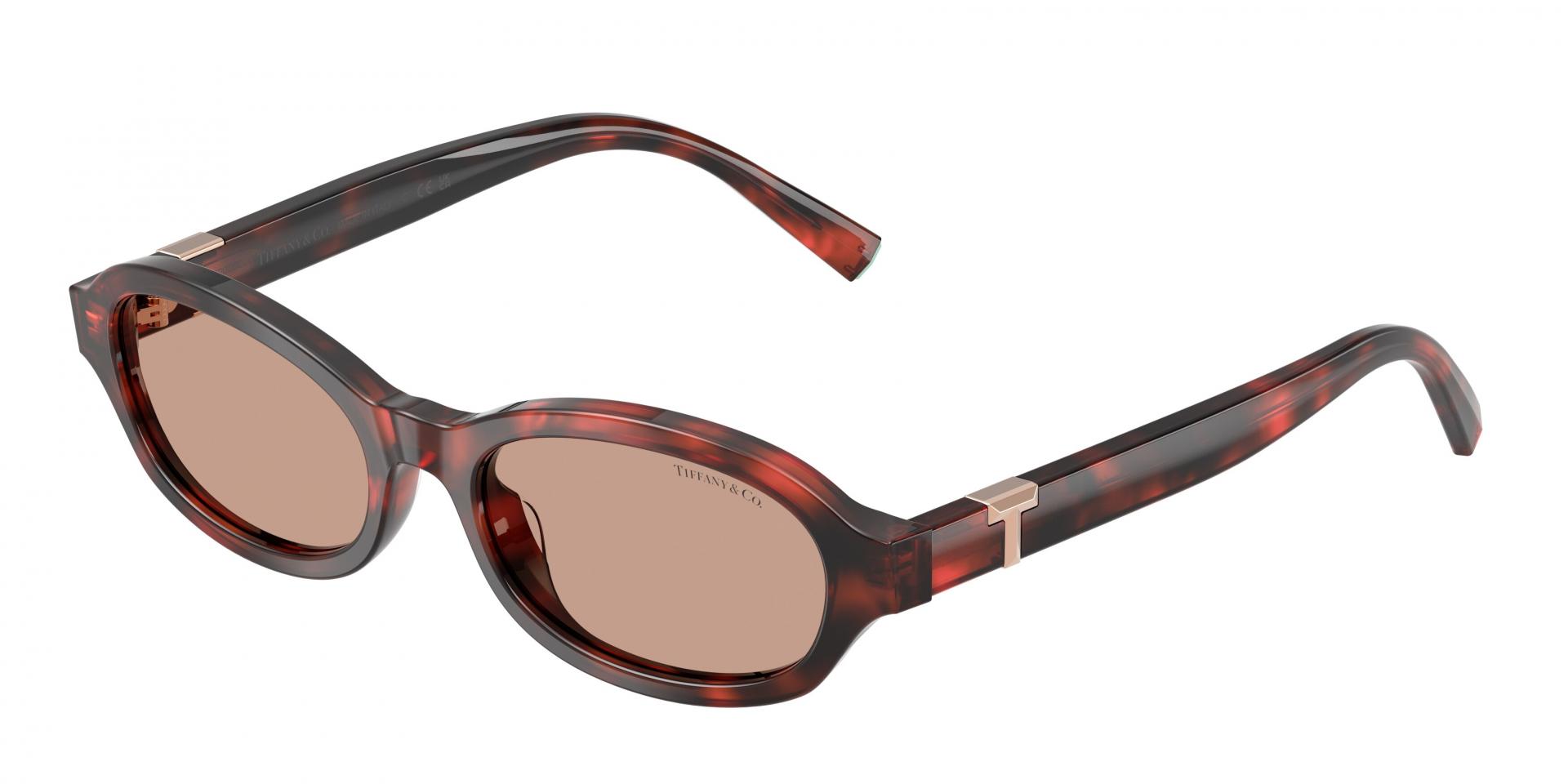 Sunglasses Tiffany & Co. TF4270U 80019S 8056262944400 | Ottica Lux
