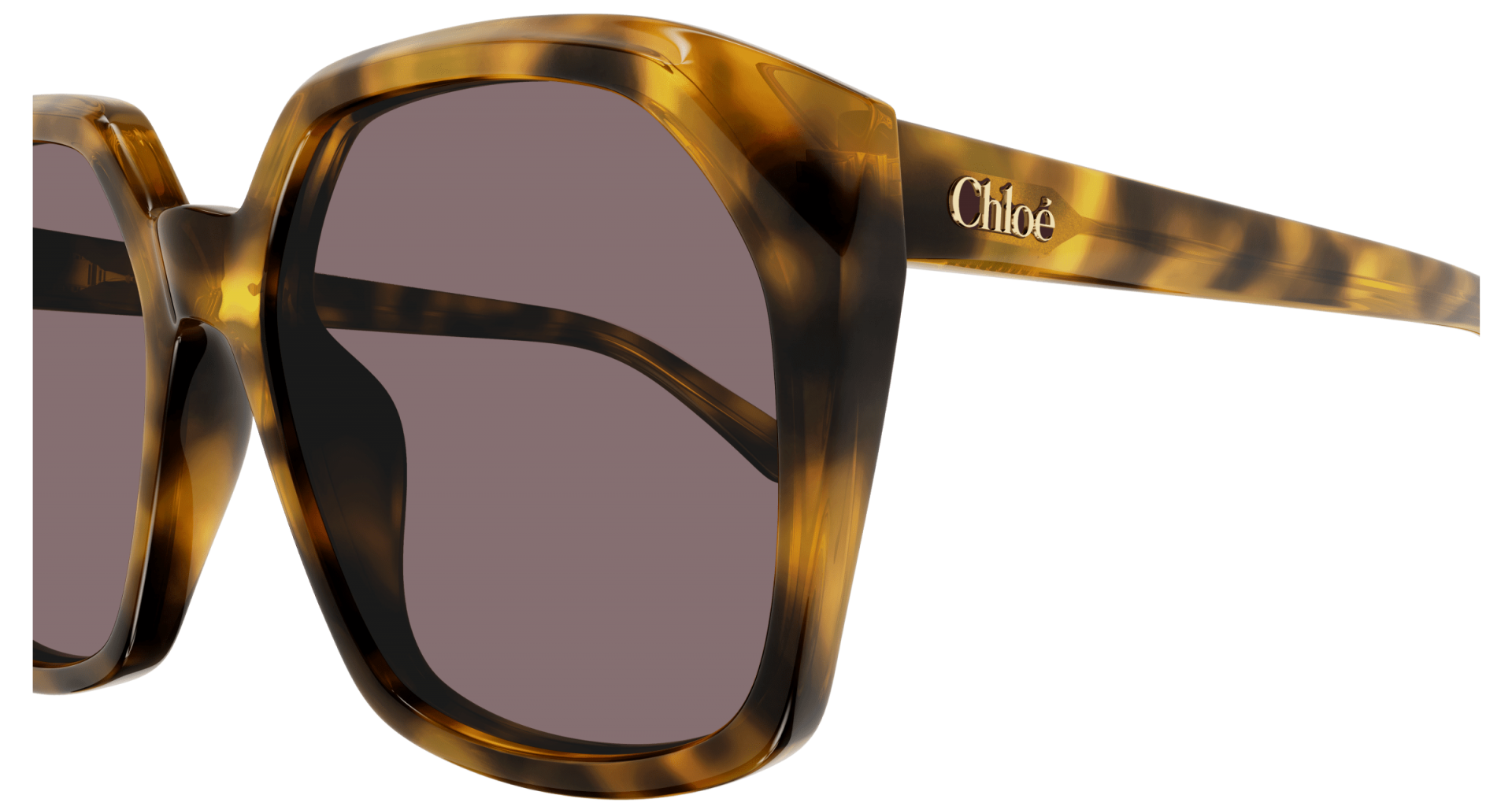 Sunglasses Chloé CH0280S 004 8056376541571 | Ottica Lux