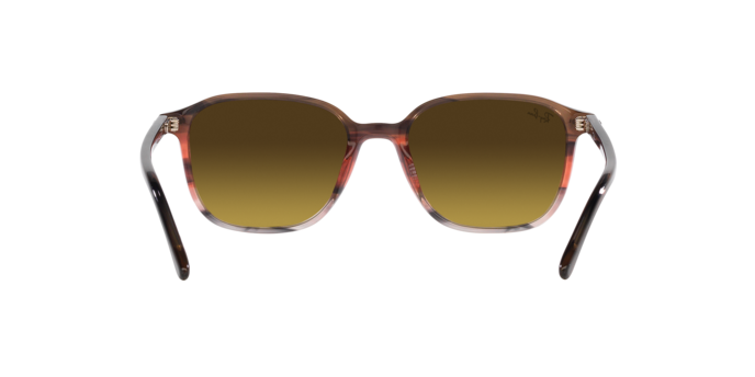 Occhiali da sole Ray-Ban RB2193 LEONARD 138085 8056597855938 | Ottica Lux