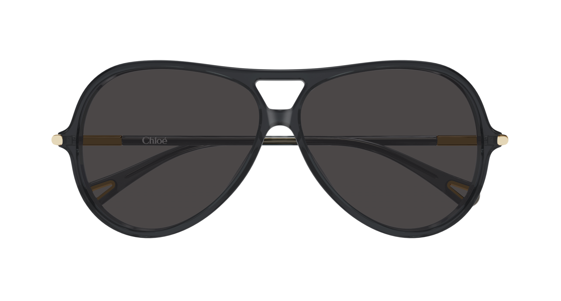 Sunglasses Chloé CH0395S 001 8056376701203 | Ottica Lux
