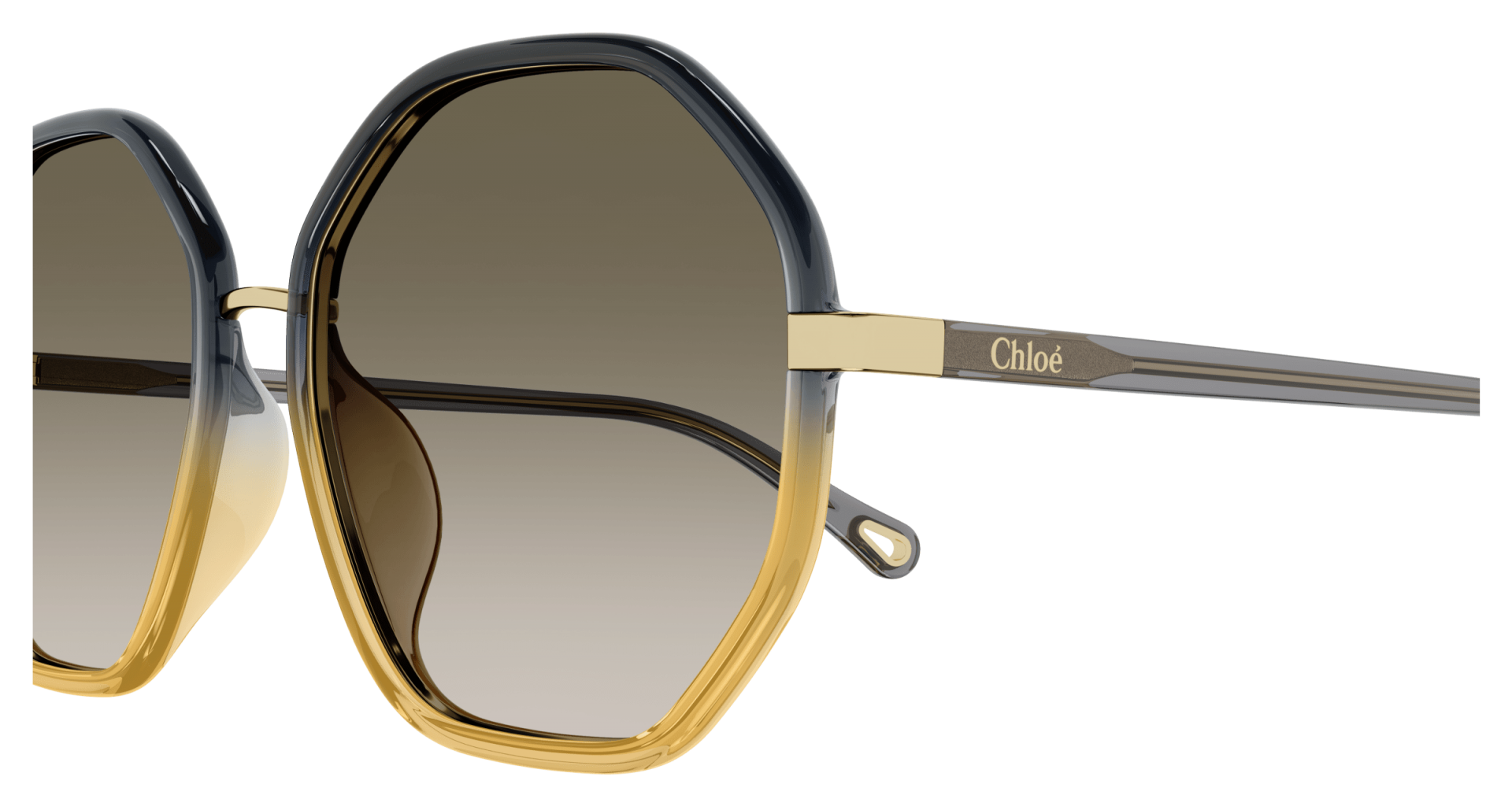 Occhiali da sole Chloé CH0133SA 005 8056376472097 | Ottica Lux