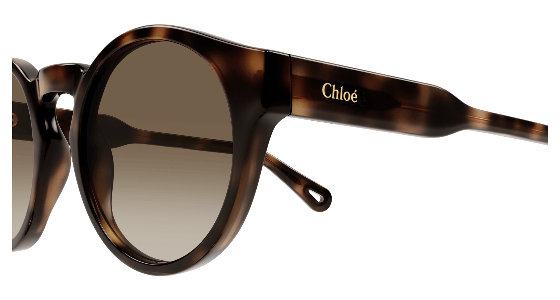 Occhiali da sole Chloé CH0158S 002 8056376444711 | Ottica Lux
