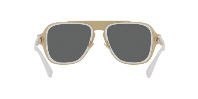 Occhiali da sole Versace VE2199 - 100287 8056597412780 | Ottica Lux Occhiali da sole Versace VE2199 - 100287 8056597412780 | Ottica Lux