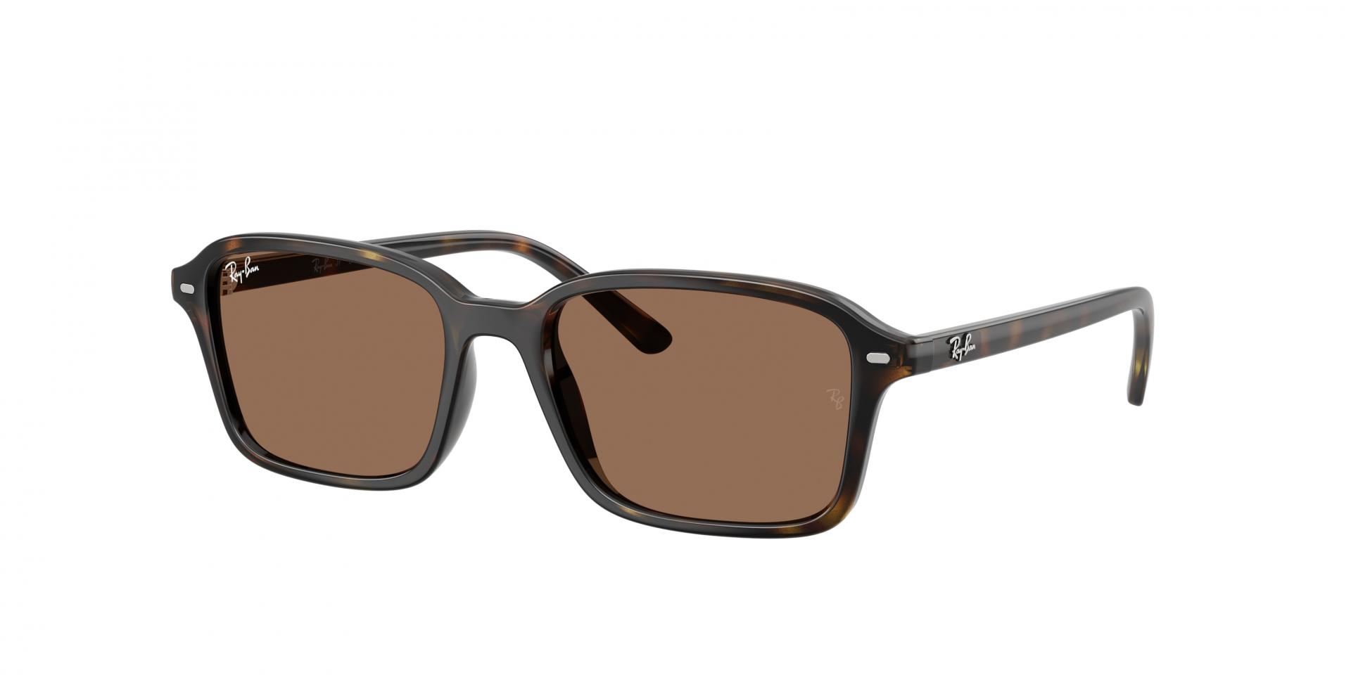 Occhiali da sole Ray-Ban RJ9506S JUNIOR AVIATOR 223/71 0805289307648 | Ottica Lux