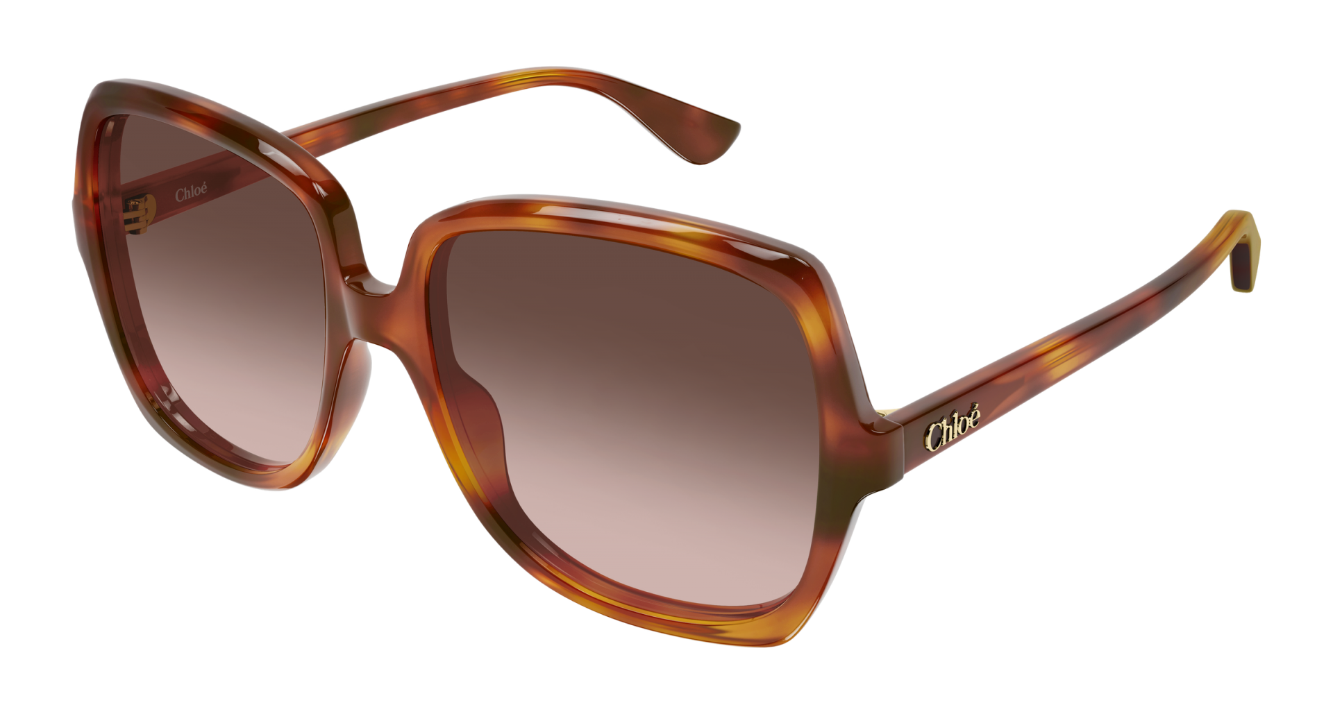 Sunglasses Chloé CH0388S 001 8056376700831 | Ottica Lux