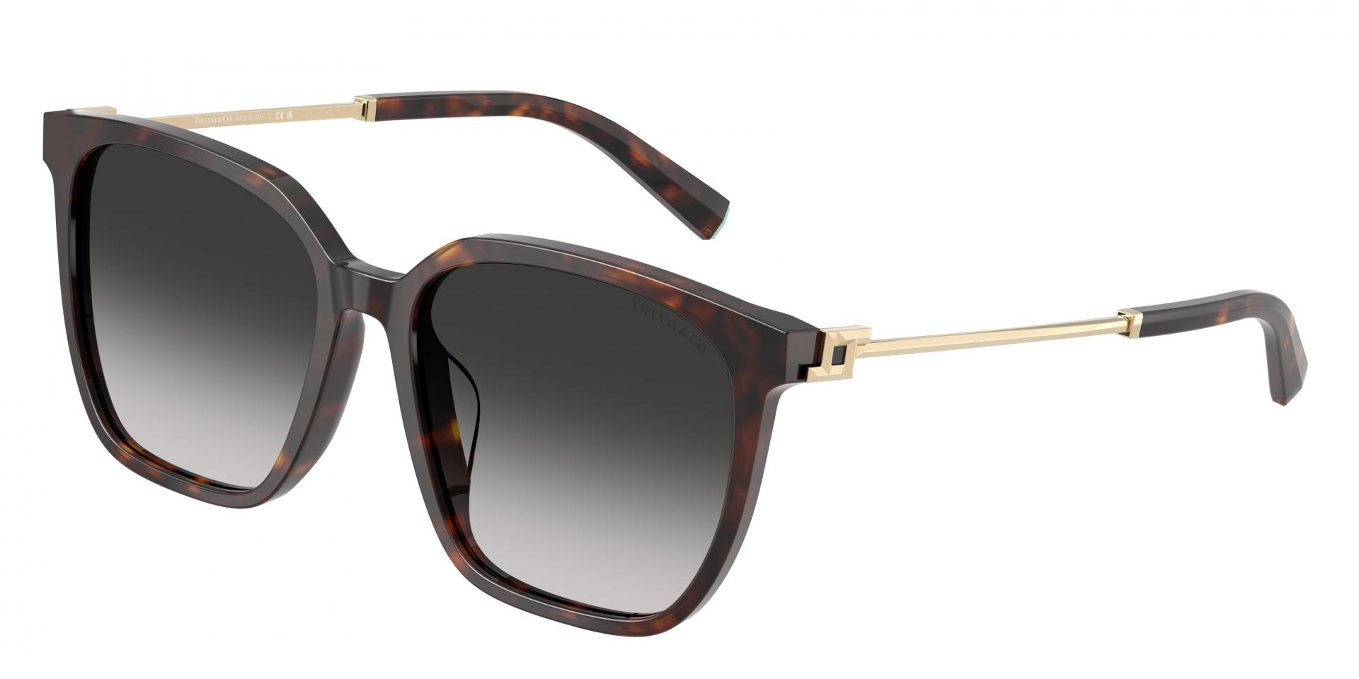 Occhiali da sole Tiffany & Co. tf4244d 82503C 8056262412022 | Ottica Lux