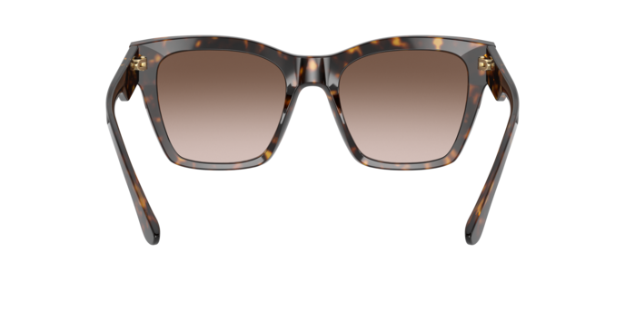 Sunglasses Dolce & Gabbana DG4384 502/13 8056597371896 | Ottica Lux