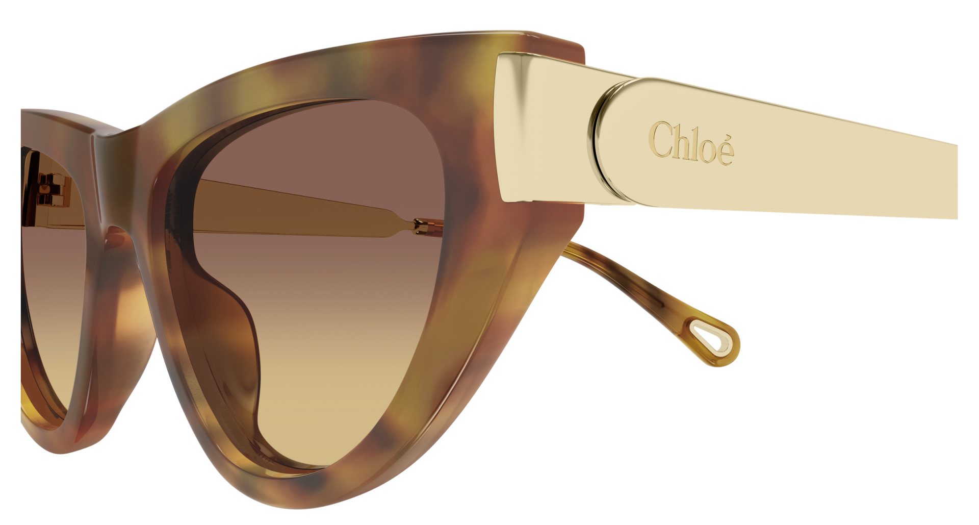 Sunglasses Chloé CH0350S 002 8056376659573 | Ottica Lux