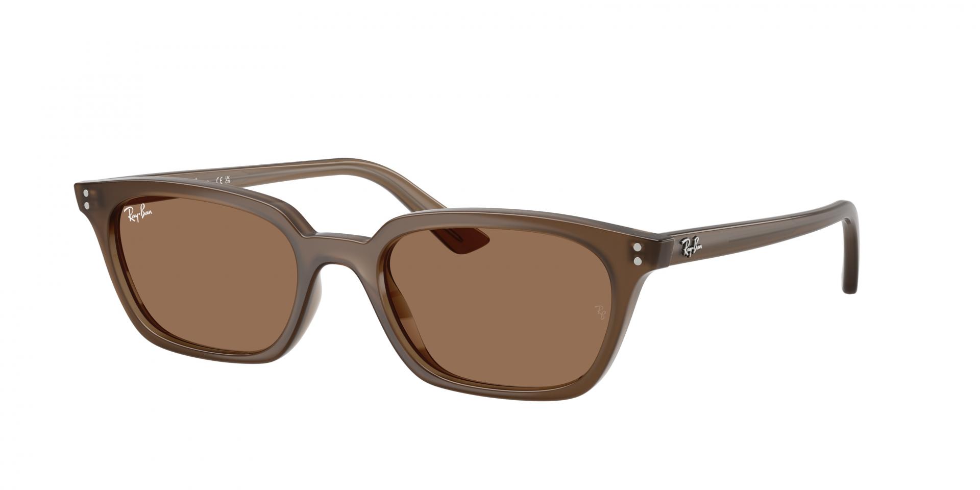 Occhiali da sole Ray-Ban RB4456 ZAYA 667771 8056266001666 | Ottica Lux