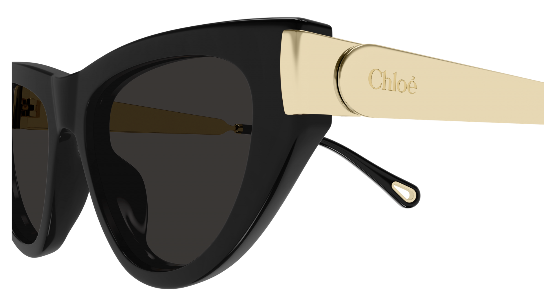 Occhiali da sole Chloé CH0350S 001 8056376659566 | Ottica Lux
