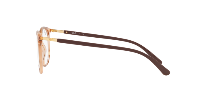 Occhiali da vista  rx7190 5940 8056597434607 | Ottica Lux