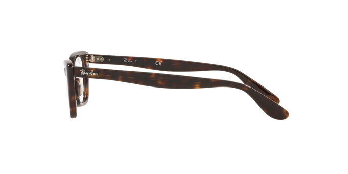 Ophthalmic frames Ray-Ban RX5499 LADY BURBANK 2012 8056597549424 | Ottica Lux Ophthalmic frames Ray-Ban RX5499 LADY BURBANK 2012 8056597549424 | Ottica Lux