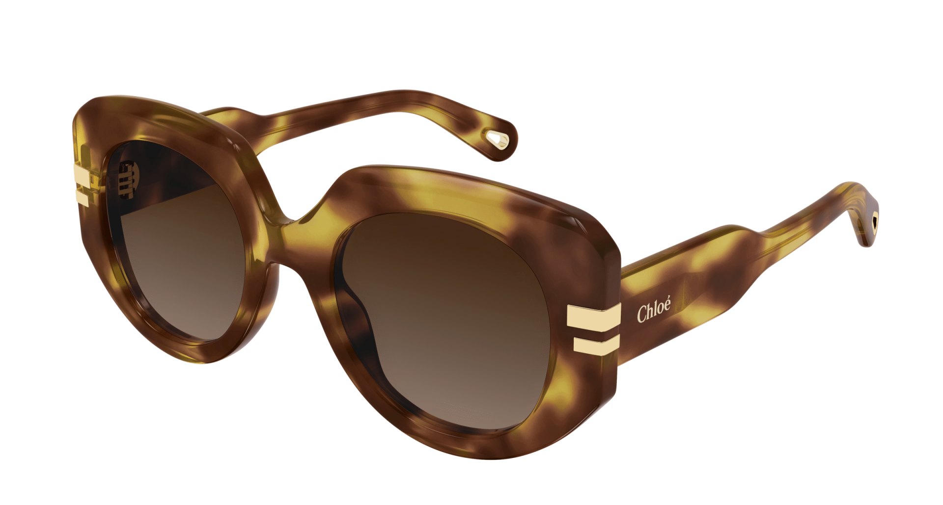 Sunglasses Chloé CH0257S 002 8056376533415 | Ottica Lux