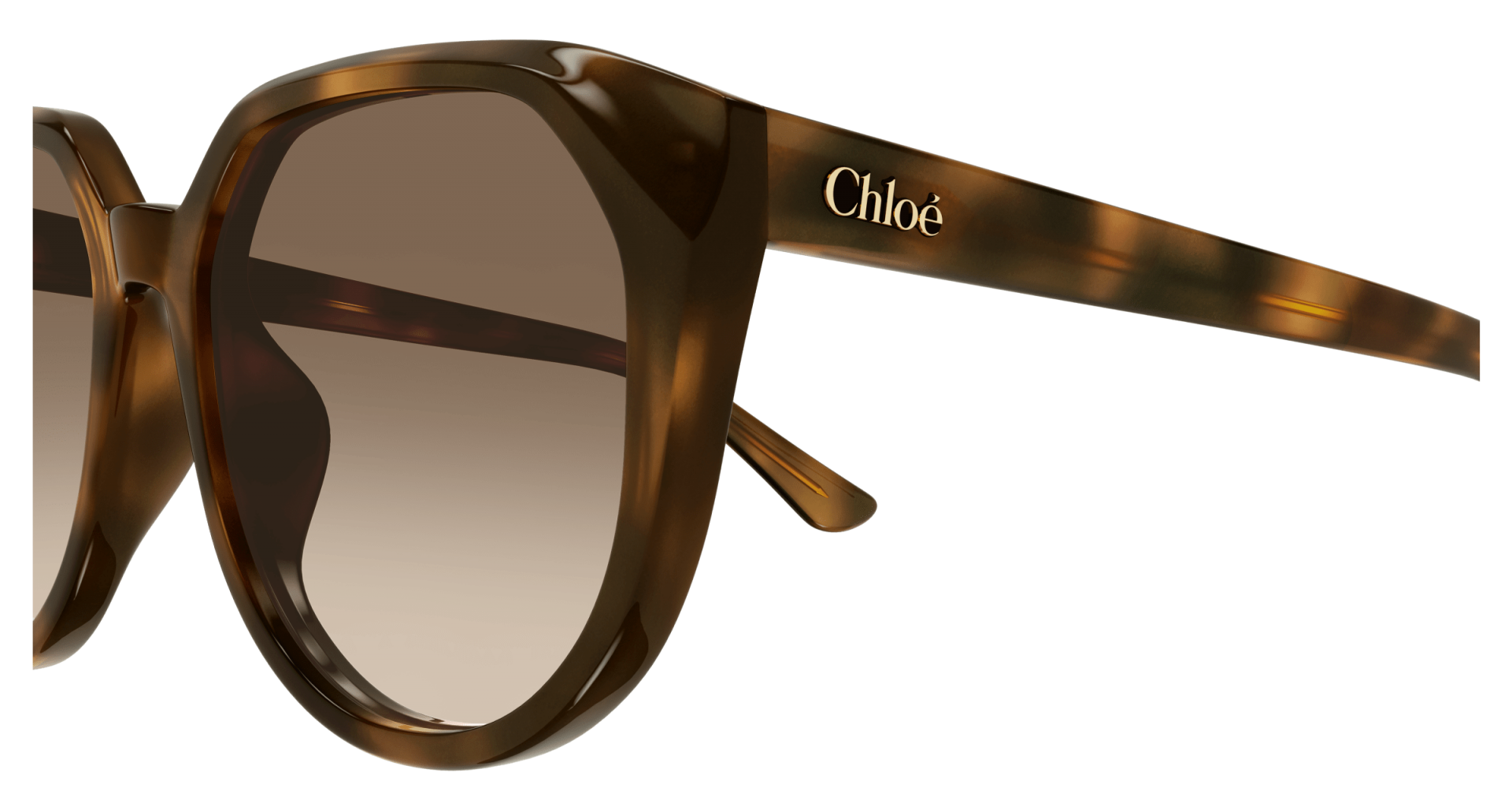 Occhiali da sole Chloé CH0291SK 003 8056376561142 | Ottica Lux