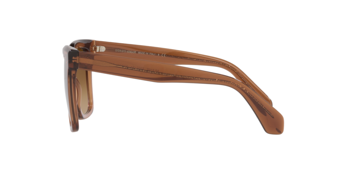 Sunglasses Giorgio Armani AR8156 593251 8056597628150 | Ottica Lux