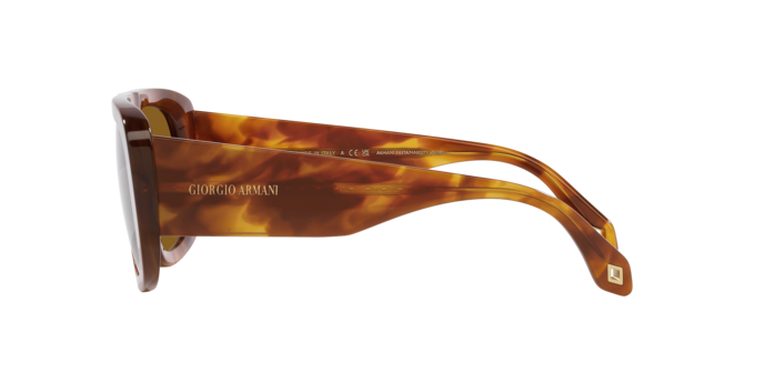 Occhiali da sole Giorgio Armani AR8183 598833 8056597851411 | Ottica Lux