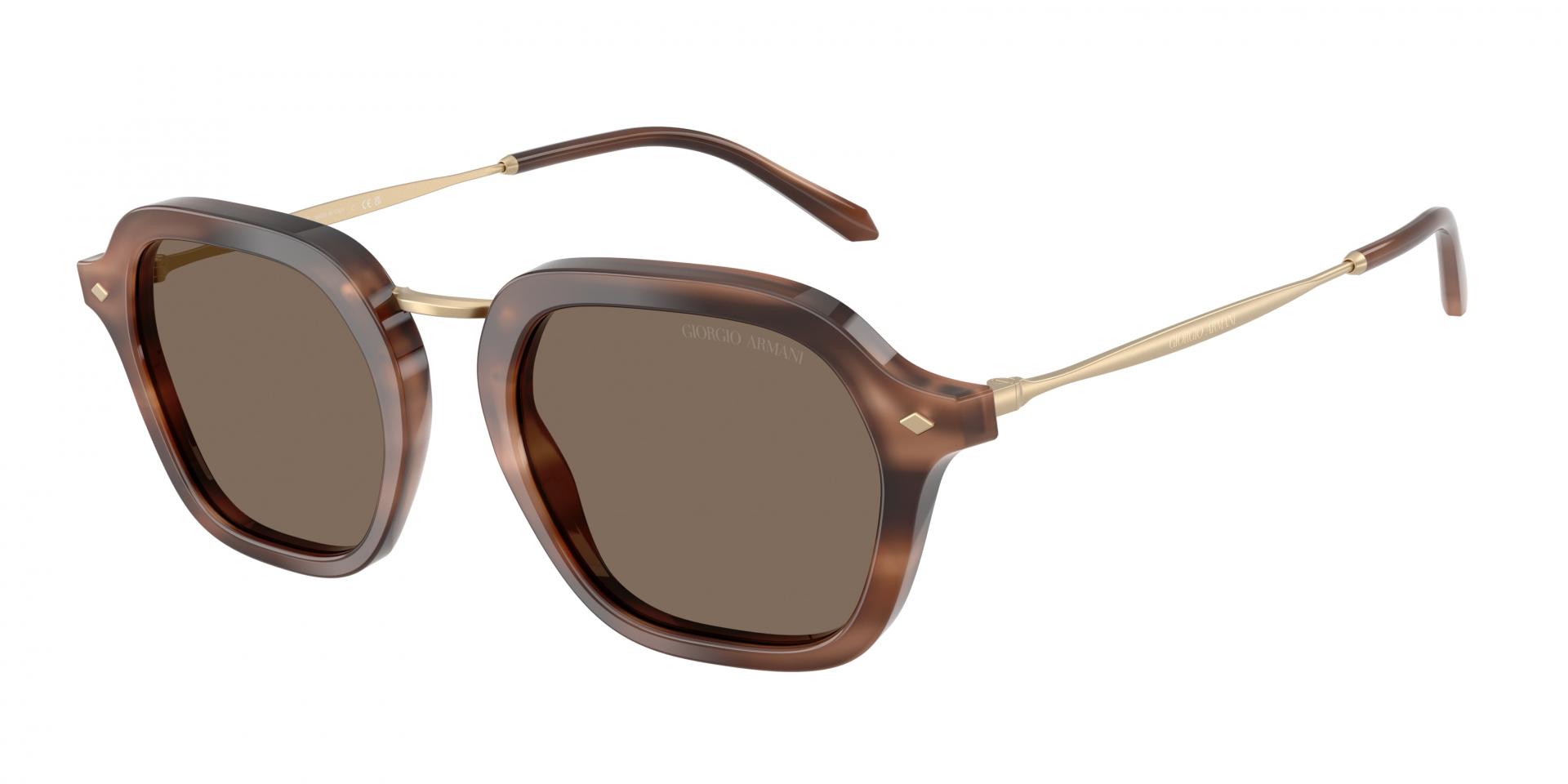 Occhiali da sole Giorgio Armani AR6190 5875R5 8056262990902 | Ottica Lux