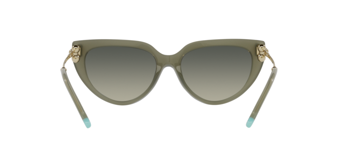 Occhiali da sole Tiffany & Co. TF4195 835811 8056597752268 | Ottica Lux Occhiali da sole Tiffany & Co. TF4195 835811 8056597752268 | Ottica Lux