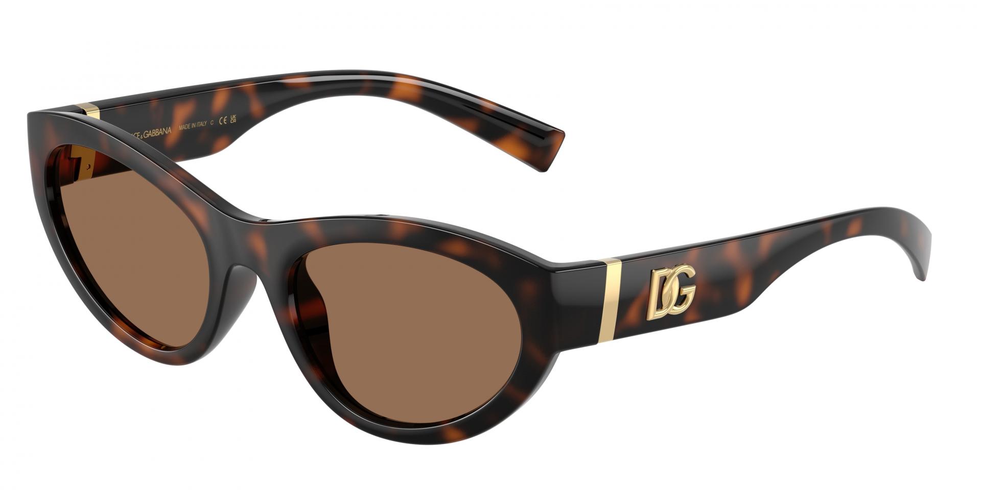 Sunglasses Dolce & Gabbana dg6207 30398V 8056262847251 | Ottica Lux