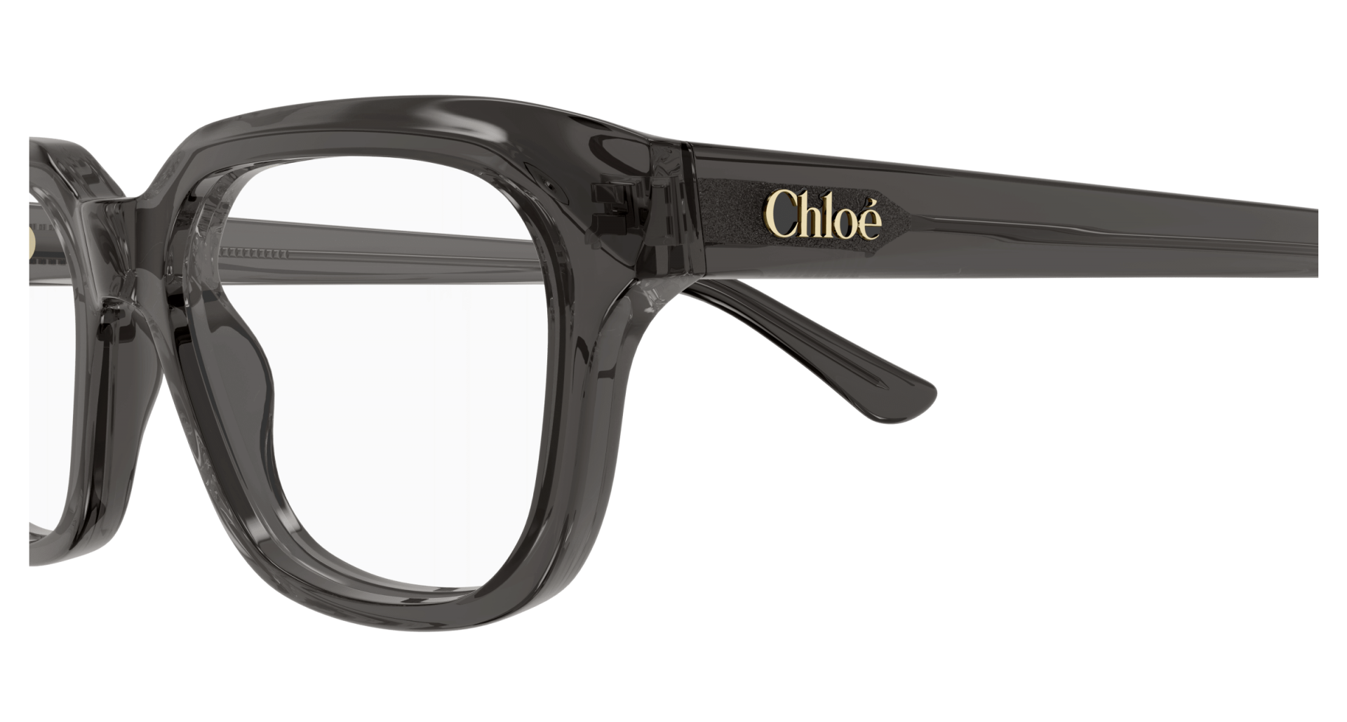 Ophthalmic frames Chloé CH0292O 001 8056376561166 | Ottica Lux