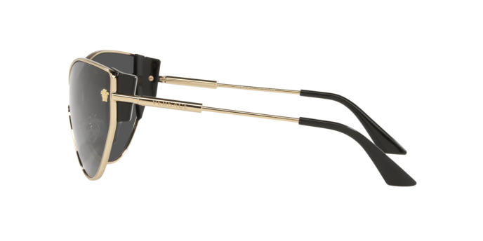 Sunglasses Versace ve2239 100287 8056597533201 | Ottica Lux