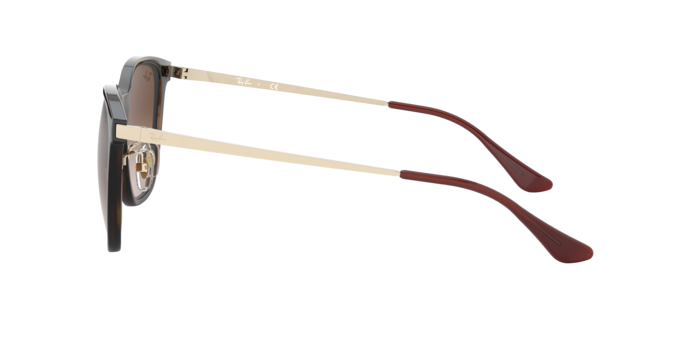 Occhiali da sole Ray-Ban RB4388 601/31 8056262054758 | Ottica Lux