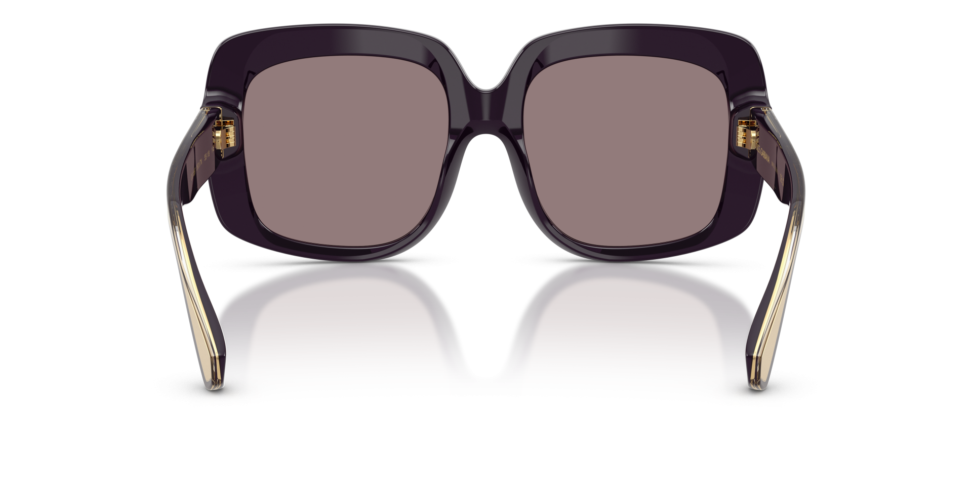 Occhiali da sole Dolce & Gabbana DG4557 35017N 8056266007040 | Ottica Lux