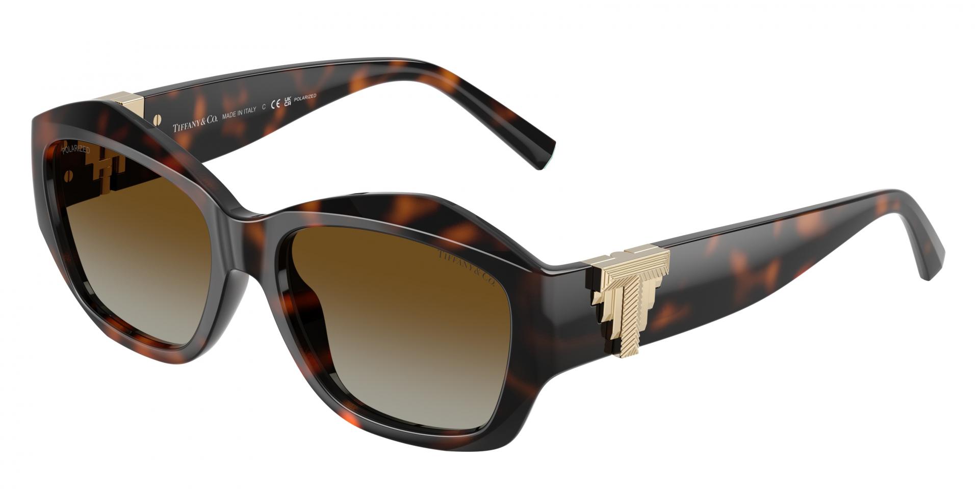 Sunglasses Alexander McQUEEN AM0451SA 001 8056376504095 | Ottica Lux