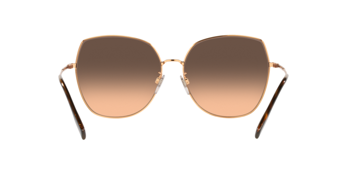 Sunglasses Burberry BE3136D 1337G9 8056597621427 | Ottica Lux