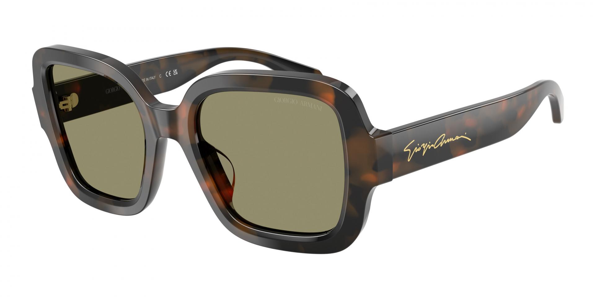 Sunglasses Giorgio Armani AR8268U 587587 8056262992159 | Ottica Lux