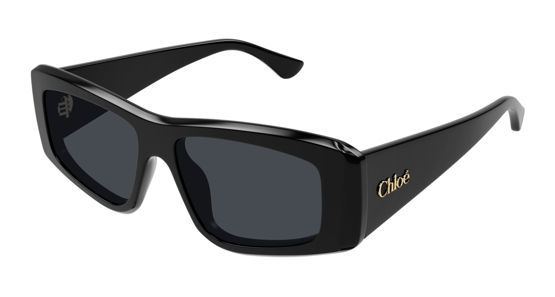 Sunglasses Chloé CH0299S 001 8056376561548 | Ottica Lux