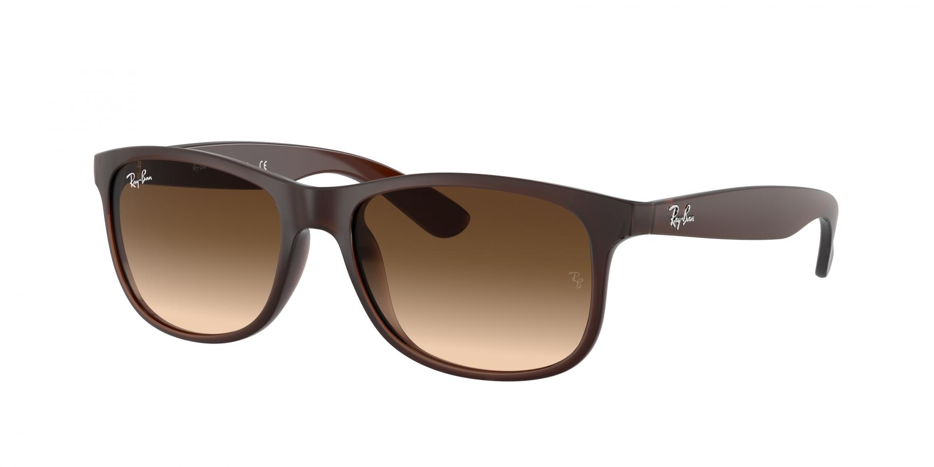 Sunglasses Ray-Ban RB4202 ANDY 607313 8053672188905 | Ottica Lux