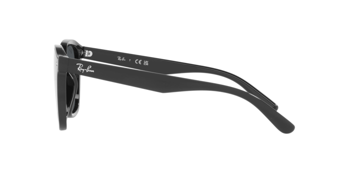 Occhiali da sole Ray-Ban RB4392D 601/87 8056597714129 | Ottica Lux