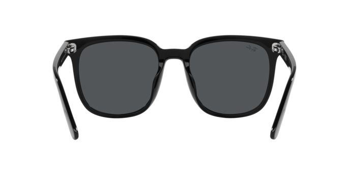 Occhiali da sole Ray-Ban RB4401D 601/87 8056597846073 | Ottica Lux