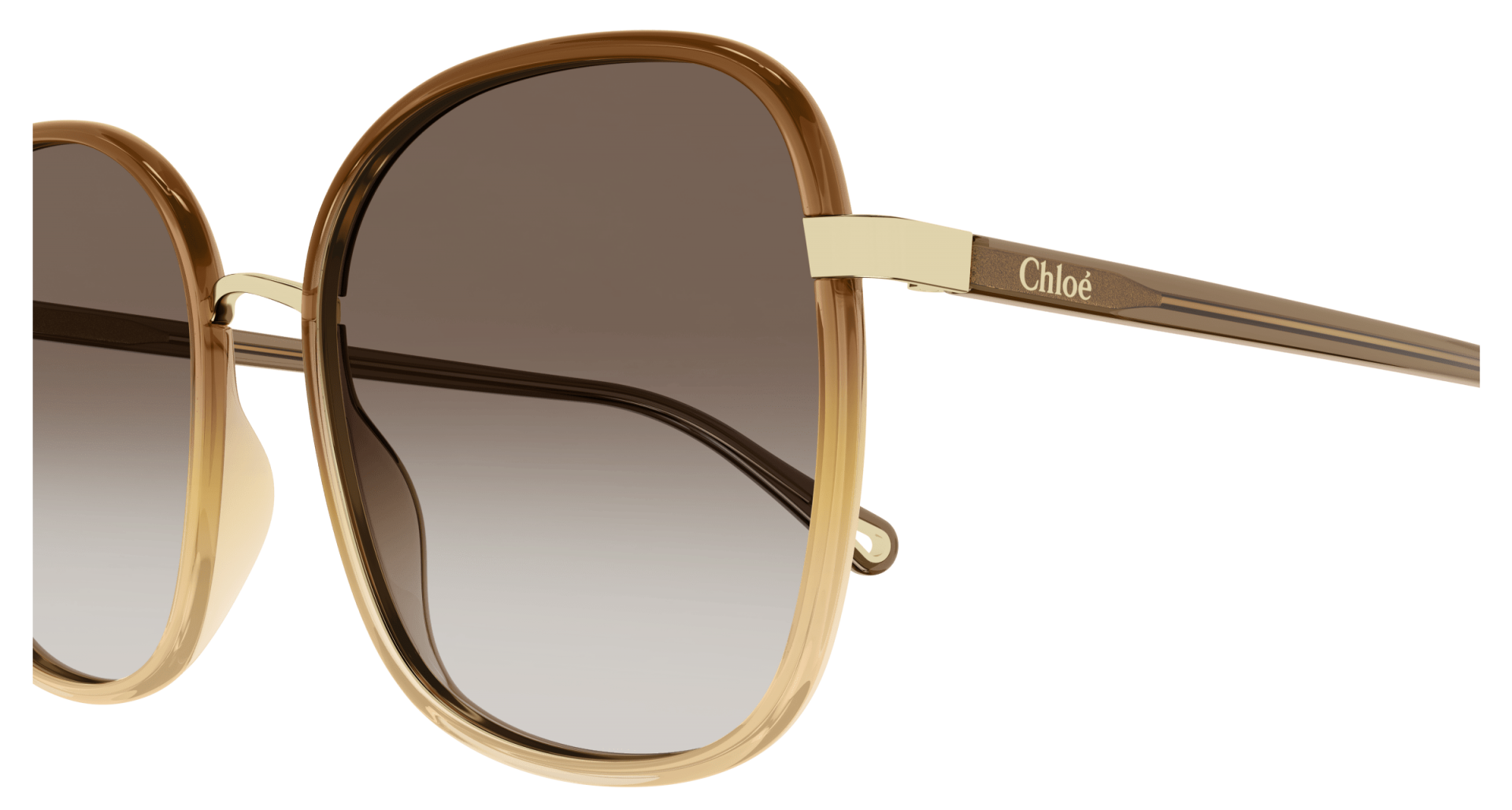 Occhiali da sole Chloé CH0031S 012 8056376472080 | Ottica Lux