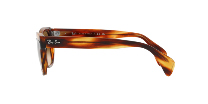 Occhiali da sole Ray-Ban RB0880S 954/51 8056597720625 | Ottica Lux