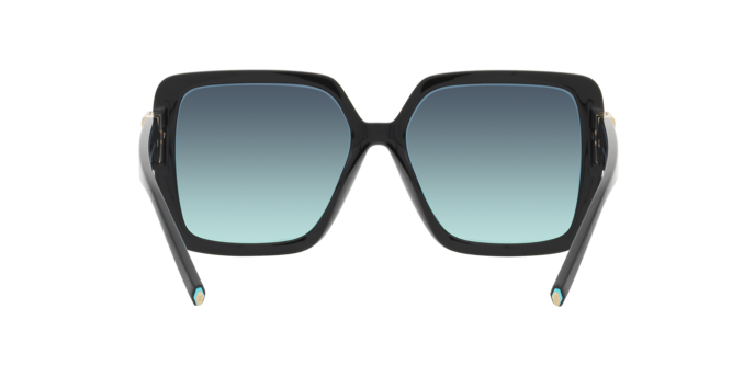 Occhiali da sole Tiffany & Co. TF4206U 80019S 8056597850971 | Ottica Lux