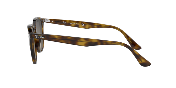 Occhiali da sole Ray-Ban RB4259 710/11 8053672790382 | Ottica Lux