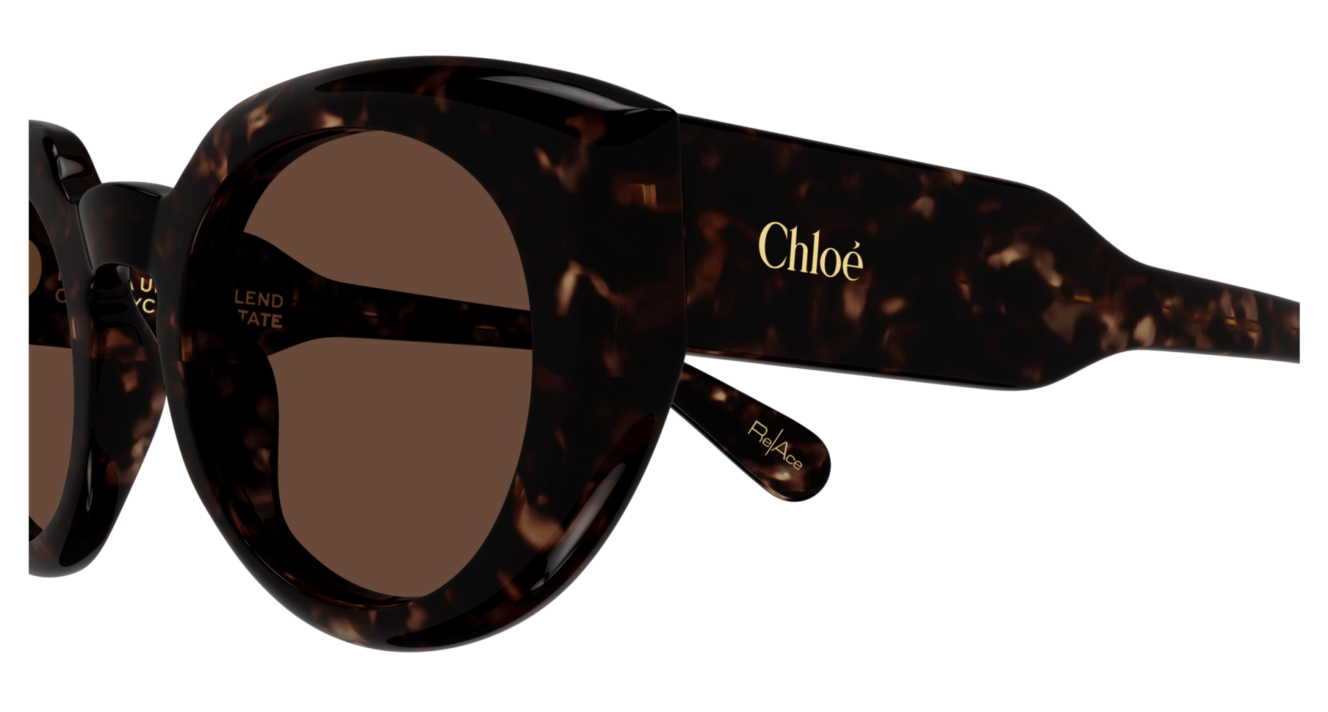 Sunglasses Chloé CH0311S 002 8056376558586 | Ottica Lux