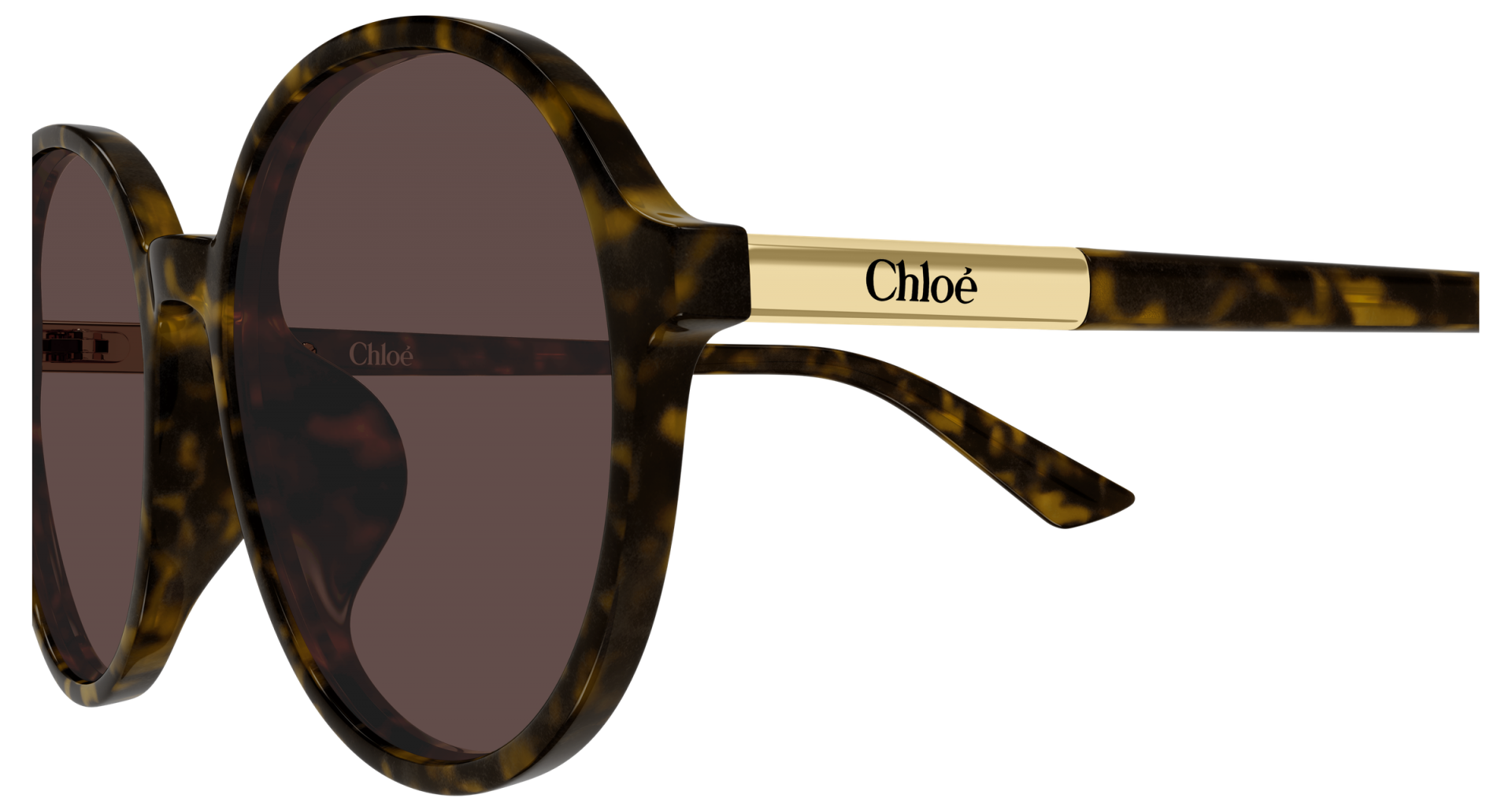 Sunglasses Chloé CH0365SK 002 8056376660265 | Ottica Lux